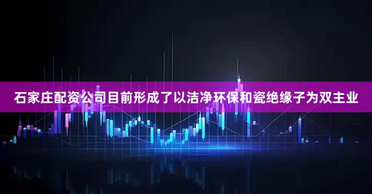 石家庄配资公司目前形成了以洁净环保和瓷绝缘子为双主业