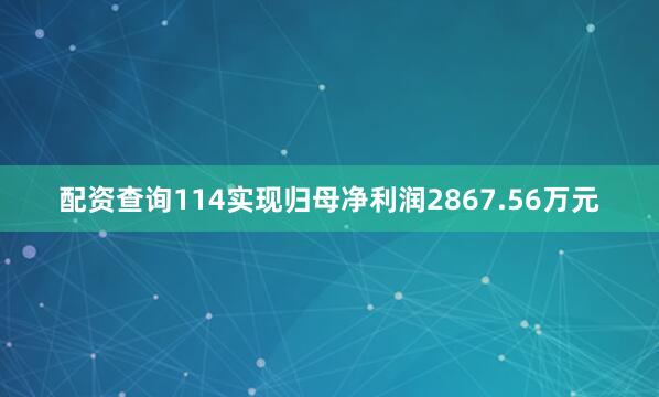 配资查询114实现归母净利润2867.56万元